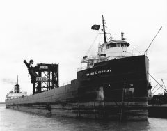 Thumbnail Image for Harry L Findlay