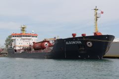 Thumbnail Image for Algonova