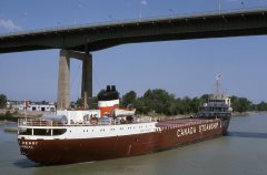 Thumbnail Image for Fort Henry