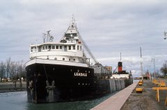 Thumbnail Image for Leadale