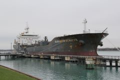 Thumbnail Image for Elizabeth Schulte