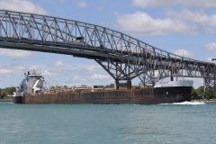 Thumbnail Image for Algoma Buffalo