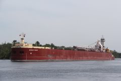 Thumbnail Image for Michigan Trader