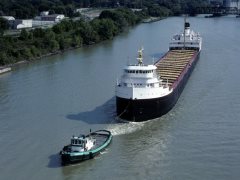 Thumbnail Image for Beechglen