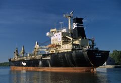 Thumbnail Image for Chimo