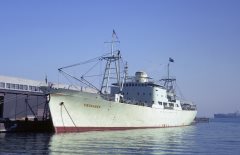 Thumbnail Image for Crusader