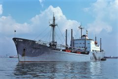 Thumbnail Image for Karana Ampat