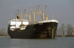 Thumbnail Image for Labradoc