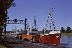 Thumbnail Image for Aigle D'Ocean