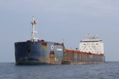 Thumbnail Image for Algoma Guardian