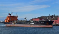 Thumbnail Image for Torm Lene