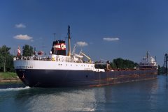 Thumbnail Image for Algostream