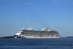 Thumbnail Image for Enchanted Princess