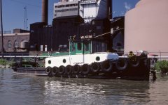 Thumbnail Image for Wolverine