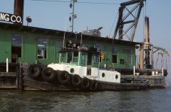 Thumbnail Image for Wolverine