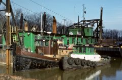 Thumbnail Image for Wolverine