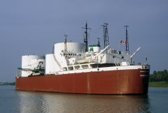 Thumbnail Image for Woodland