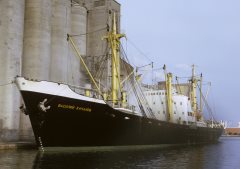 Thumbnail Image for Vasiliy Kachalov