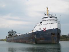 Thumbnail Image for Algomarine