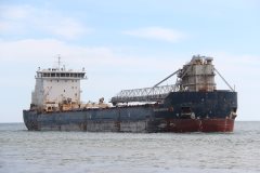 Thumbnail Image for Algoma Innovator