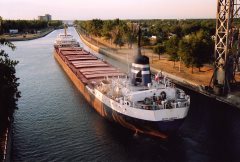 Thumbnail Image for Peter Misener