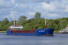 Thumbnail Image for GT Forseti