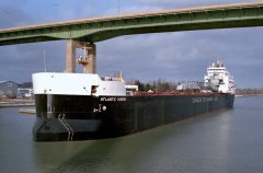 Thumbnail Image for Atlantic Huron oncontextmenu=