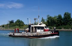 Thumbnail Image for Bert Verge