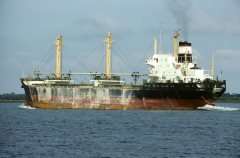 Thumbnail Image for Roberto oncontextmenu=