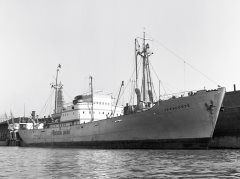 Thumbnail Image for Tazacorte