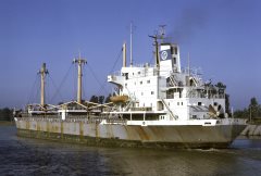 Thumbnail Image for Pitria