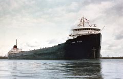 Thumbnail Image for Red Wing