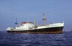 Thumbnail Image for Primo Arabia