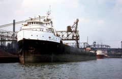 Thumbnail Image for Buffalo