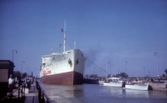 Thumbnail Image for Alva Bay