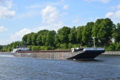 Thumbnail Image for Castor