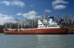 Thumbnail Image for Le Chene No. 1