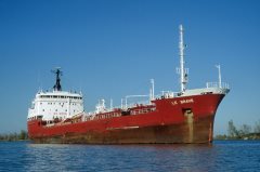 Thumbnail Image for Le Brave