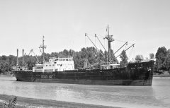 Thumbnail Image for Fair Head