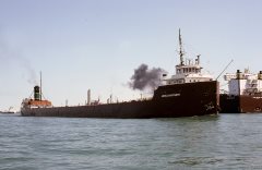 Thumbnail Image for Merle M McCurdy