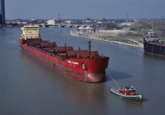 Thumbnail Image for Steel Flower