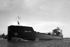 Thumbnail Image for Canadian Olympic