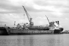 Thumbnail Image for Cabot