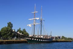 Thumbnail Image for Fair Jeanne