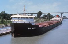 Thumbnail Image for Red Wing