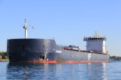 Thumbnail Image for G3 Marquis