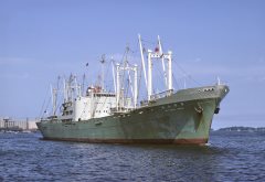 Thumbnail Image for Mayasan Maru