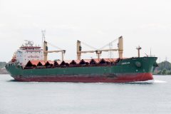 Thumbnail Image for Andean