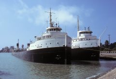 Thumbnail Image for Oakglen