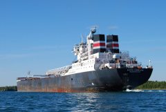 Thumbnail Image for Adam E Cornelius